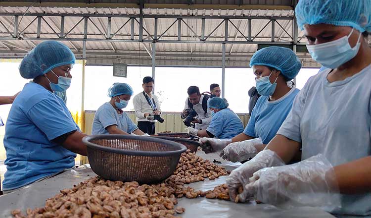 Minister asks cashew sector to address processing challenges